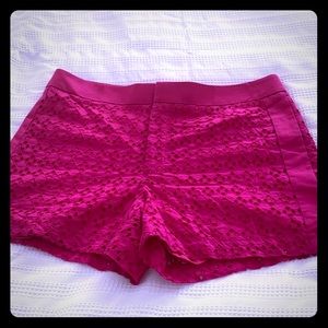 Fuchsia Calvin Klein shorts
